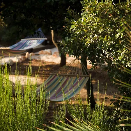 Trullo Negli Alberi فيلة