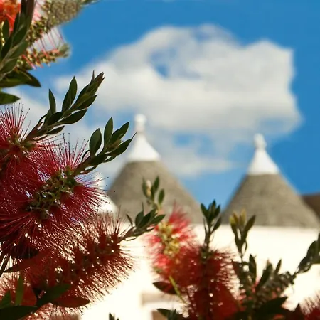Trullo Negli Alberi فيلة